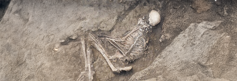 Ancestral Antiviral Proteins May Protect Against Infection 