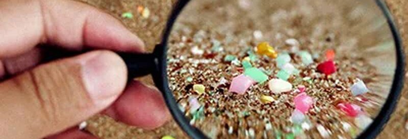 Microplastics: Exploring the Environmental and Human Health Impacts
