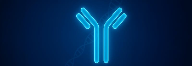 Recombinant Antibodies: Why Researchers Are Making the Switch