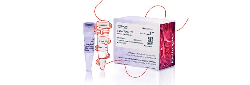 New Invitrogen SuperScript V Reverse Transcriptase 