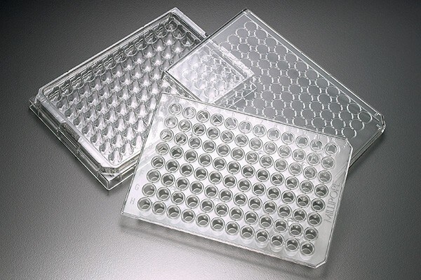 38848_Fisher-image1_96well_600x400 38848_Fisher-image1_96well_600x400