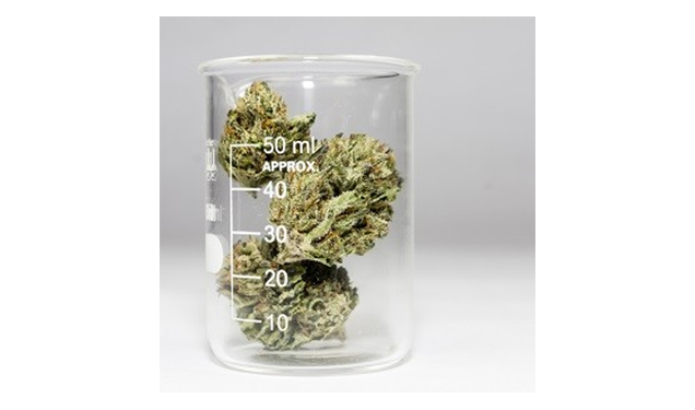 15308_image_1_tab_cannabis 15308_image_1_tab_cannabis